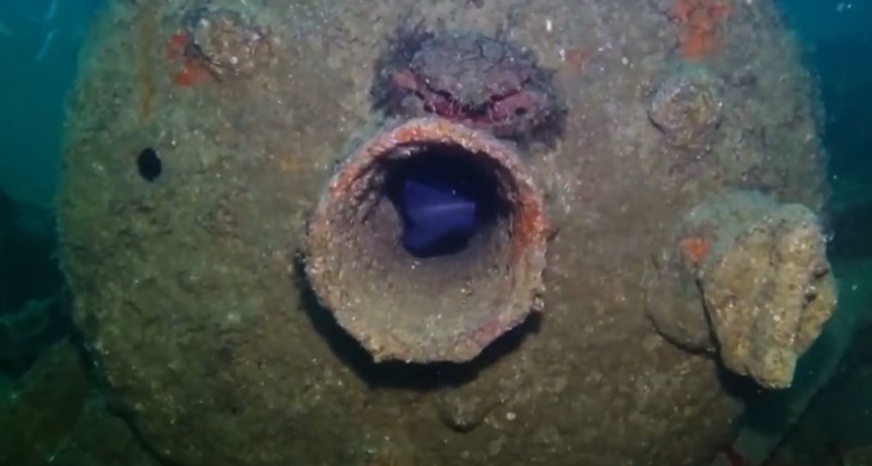 Inmersión la Gabarra de Setares