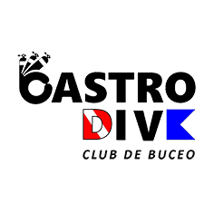 Ok Castro Dive